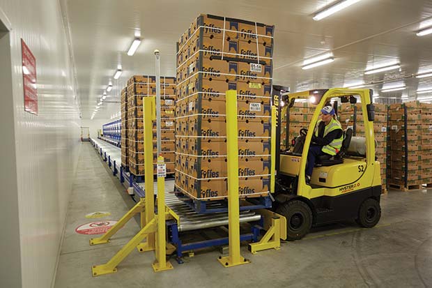 LB Foster completes top banana solution for Fyffes ...