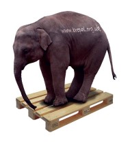 epal-pallet-elephant1