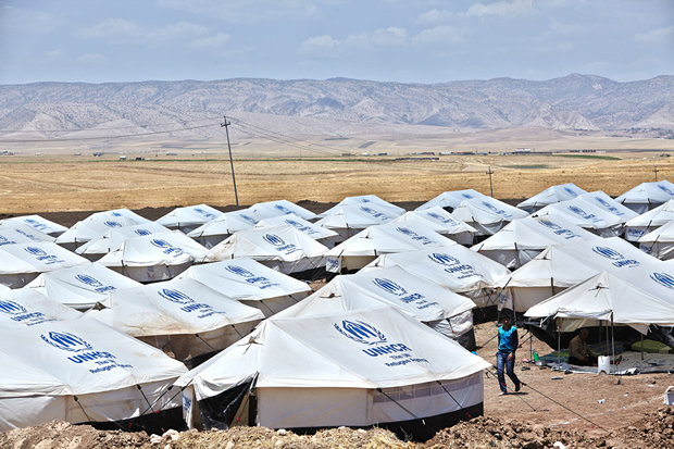 UNHCR June 2014