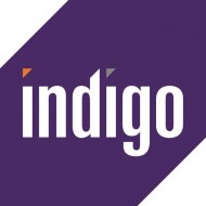Indigo Company Logo CMYK high res
